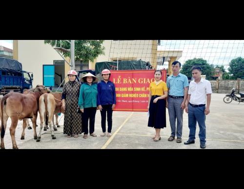 XÃ CẨM THẠCH TRAO MÔ HÌNH SINH KẾ BÒ GÀ GIỐNG SINH SẢN CHO HỘ NGHÈO, HỘ CÓ HOÀN CẢNH KHÓ KHĂN